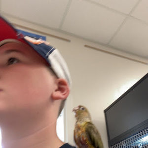 Meet your Posher, John